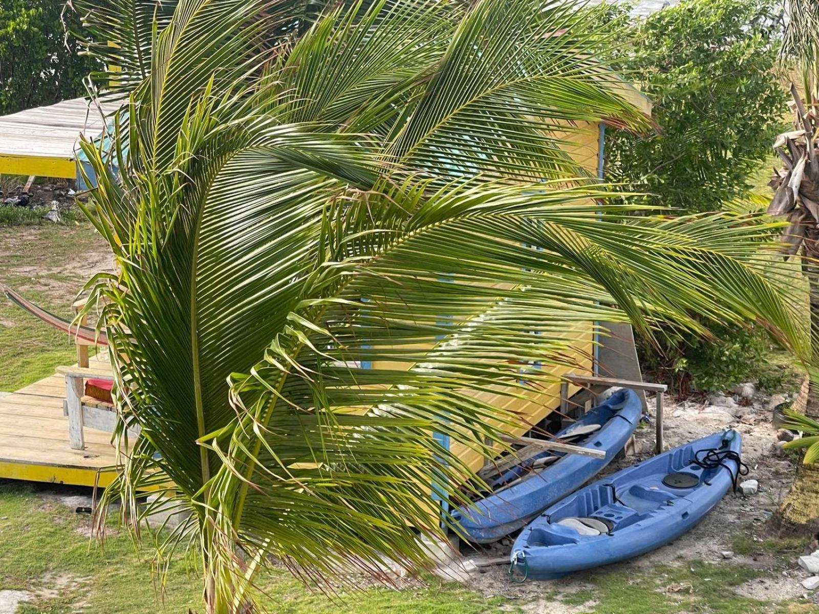 The Novelo Hotel Caye Caulker Eksteriør billede